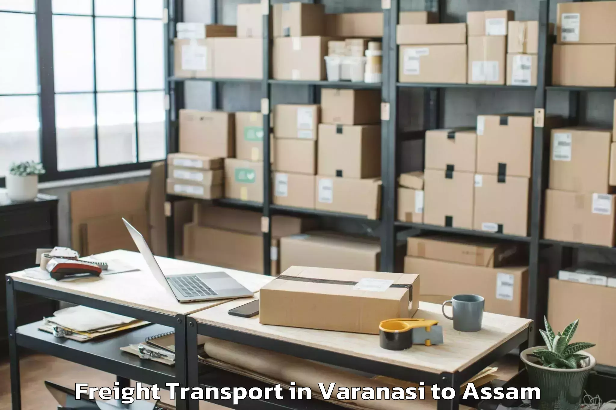 Professional Varanasi to Kharupetia Freight Transport